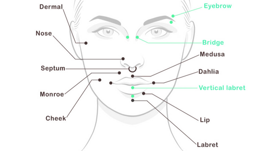 Types de Piercings : Zones & Bijoux [Guide Complet]